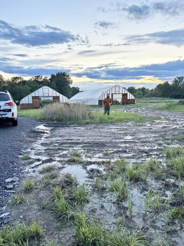 Photo by Katie Rose Leonard. Rain in late July left the parking lot underwater and washed out part of the farm road at Katie Rose Leonard’s Head Over Fields. She lost some cucumbers to the May frost and she struggled to havest kale, arugula, cabbage, cilantro and dill because of the wet August. This has been the hardest year of her 10 years of farming in Charlotte.