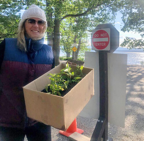 Senior center welcomes Lawson as new volunteer coordinator