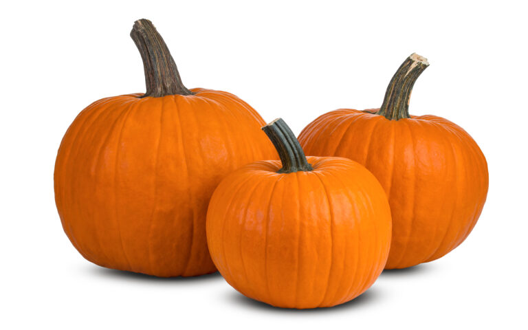 Pumpkin Month celebrates a vegetable to die for