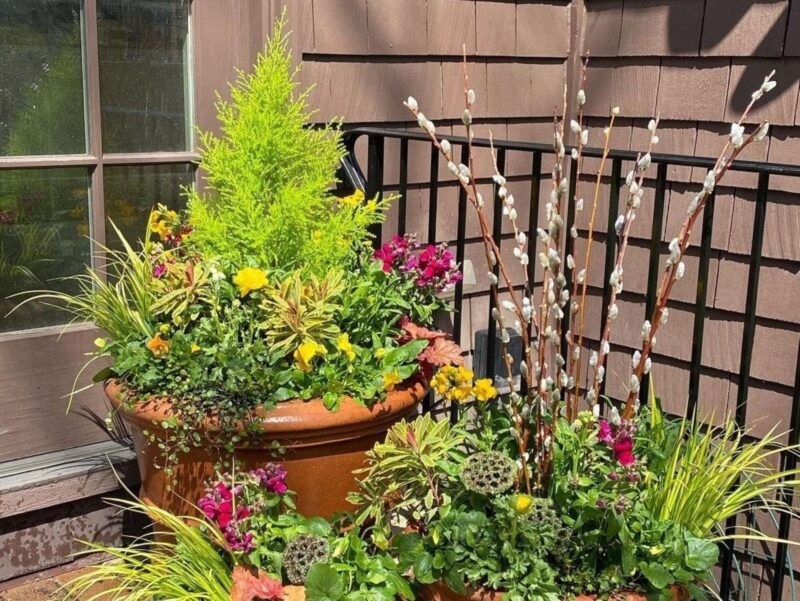 Photo by Bridget Schroeder. Left: Four-season container gardens can be created in all types of containers, including window boxes, providing they are big enough to accommodate a small woody ornamental and a variety of other plants to add color, texture and form.
