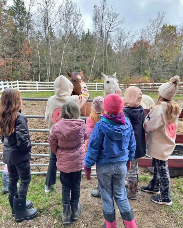 Courtesy photo. 
Kids gather around horses at Merrymac Farm Sanctuary as part of an afterschool program in Charlotte. 