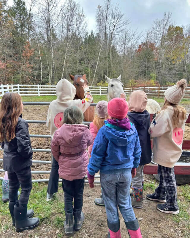 Courtesy photo. Kids gather around horses at Merrymac Farm Sanctuary as part of an afterschool program in Charlotte.