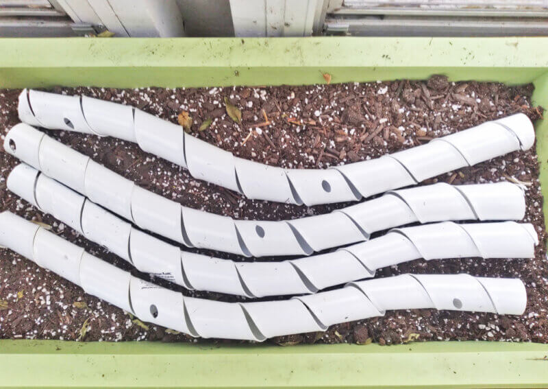 Photo by Deborah J. Benoit. Placing trunk guards around the trunks of young fruit trees will protect the tender bark and prevent girdling by rabbits and mice.