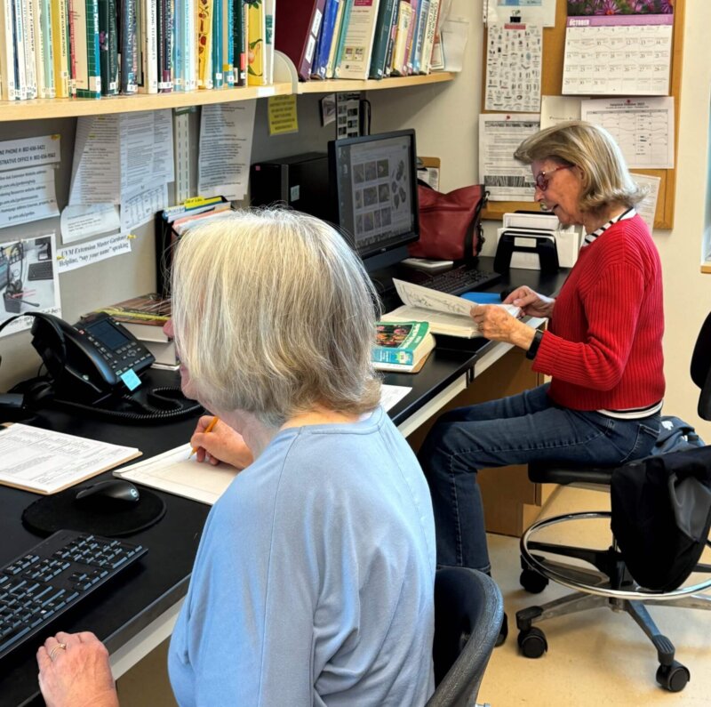 Photo by Deb Heleba University of Vermont Extension master gardener volunteers Susan Stanne, South Burlington (front), and Jane Murphy, Burlington, answer questions about gardening and backyard composting through the program’s Garden Helpline.