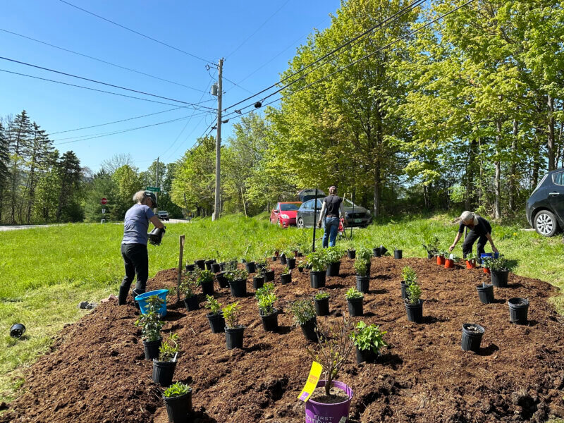 Photo by Julie Dickerson Parker.
Julie Parker-Dickerson and her team of volunteers works on one of the East Charlotte pollinator gardens.