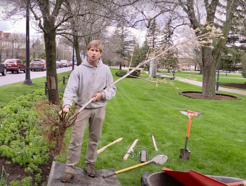 Photo courtesy Vermont Urban & Community Forestry program. Charlotter VJ Comai, who is also Burlington's city arborist, stars in a video that tree planting volunteers will be emailed to see how to plant bare-root trees.