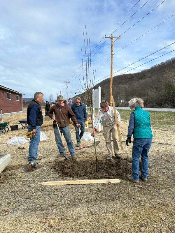Photo by Nancy Wood After a change in plans, trees were planted at the town garage on Saturday.