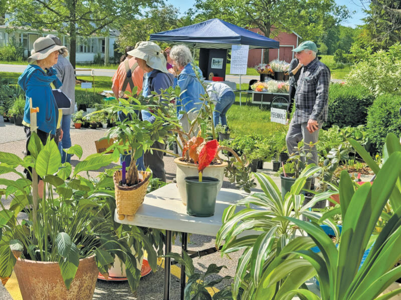 Photo by Scooter MacMillan. This was the most successful plant sale in the more than two decades the senior center has held its plant-palooza.