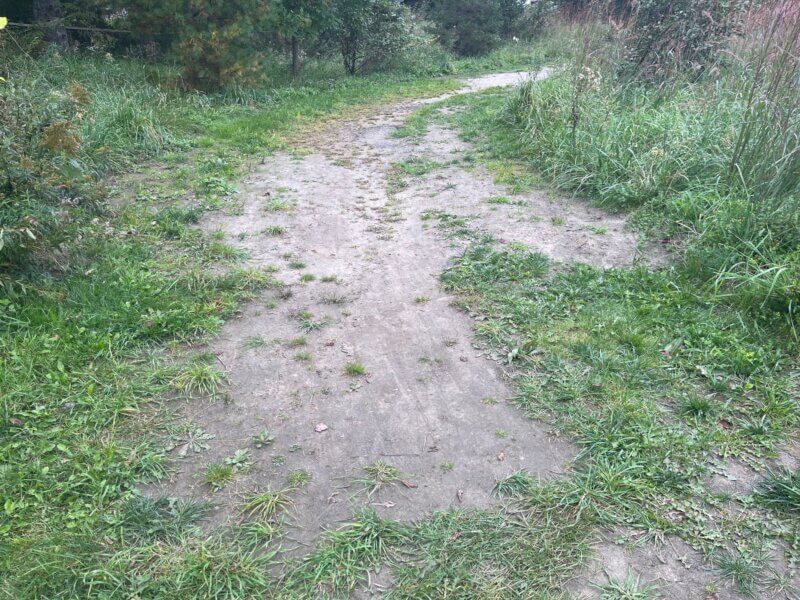 Photo by Bonnie Kirn Donahue
When lawns receive a lot of foot or vehicle traffic, soil may become compacted, which affects the health of plants, which need oxygen to spread out their roots, respire, take up nutrients and grow. 