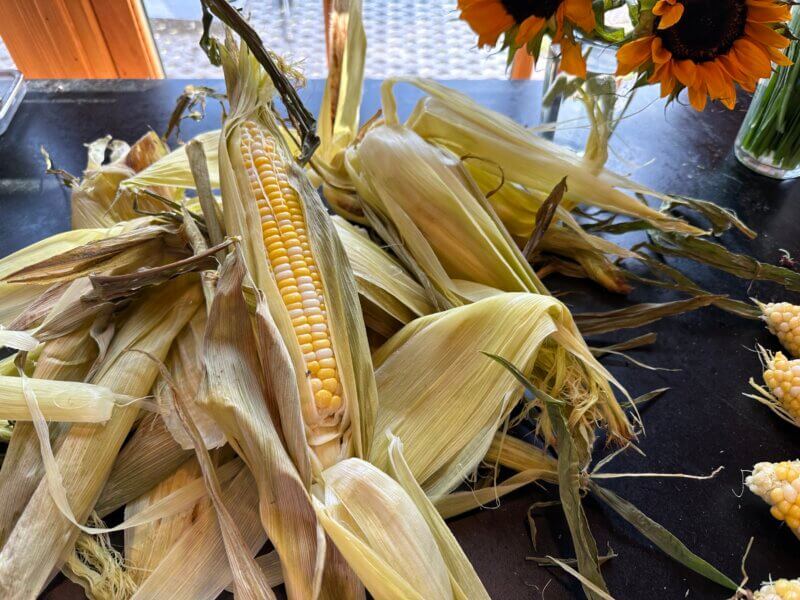 Photo by Dorothy Grover-Read. What could be better than a supper that is built around an ear of corn, or many ears of corn? Stock up now and enjoy this winter when a bowl of hot corn chowder is just the right touch to a stormy night.