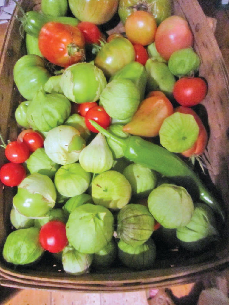 Six recipes for produce starring in our current harvest