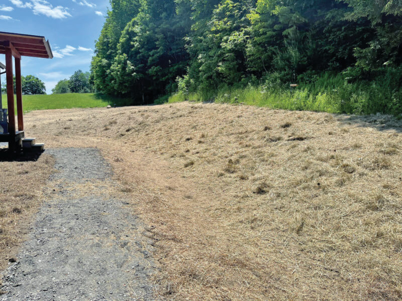 Photos by Bonnie Kirn Donahue.
To help reduce erosion, barren sloping areas can be seeded with a mix of fine fescues and clover and then mulched with hay.
