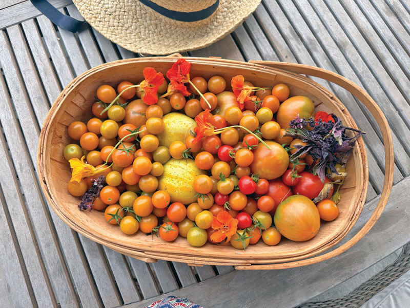 Right: Cherry tomatoes can be hard to keep up with this time of year. This season’s hot item.
