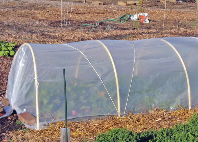 Photo by University of Vermont Extension community horticulture.
When cold temperatures and frost are in the forecast, low tunnels are one option for gardeners to consider for protecting plants and extending the growing season.