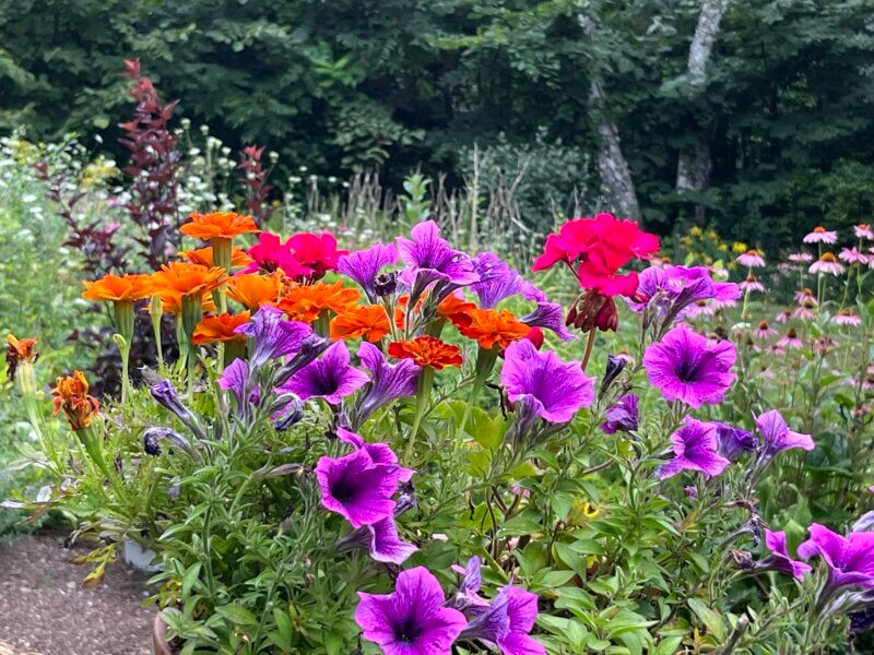 Photo by Nadie VanZandt.
Spending time in a garden can evoke peaceful feelings that nurture the mind and body and deepen one’s connection with nature.