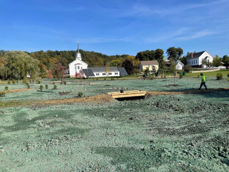 Athletic fields reverting to wetlands to improve lake water quality
