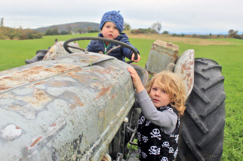 From left, Jack Unsworth, almost 2, and Colin Coyle, 4, found an old tractor near the Field of Fun to practice driving a tractor for a future parade.