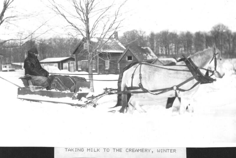 Photo from Charlotte Library archive. 
Milk being taken to the creamery during winter.