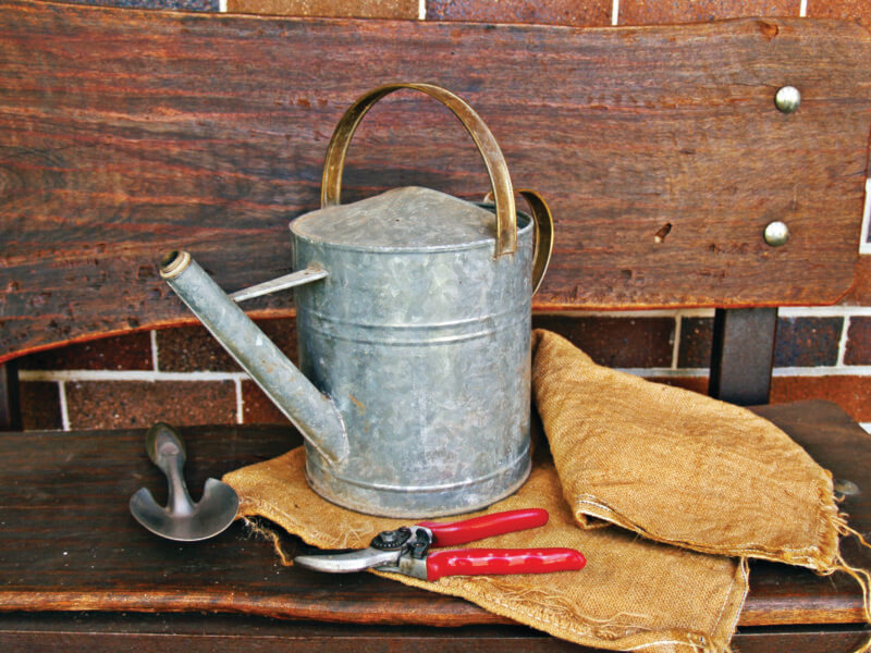 Photo by Kate Cox/Pixabay.
Inventory, clean and sharpen garden tools in the fall to be ready for spring. 