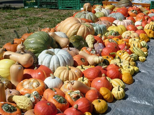 Saving root vegetables in winter, ways to cook them
