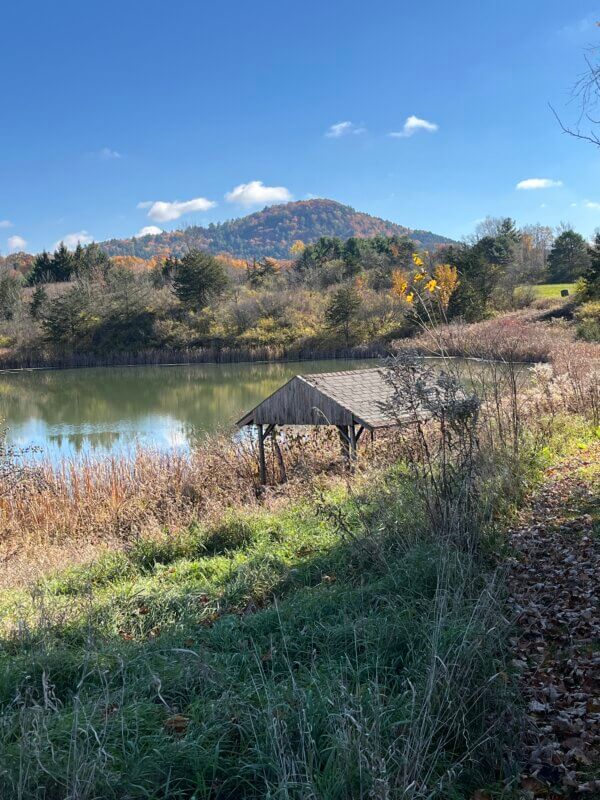 Thorpe Pond and Mt. Philo