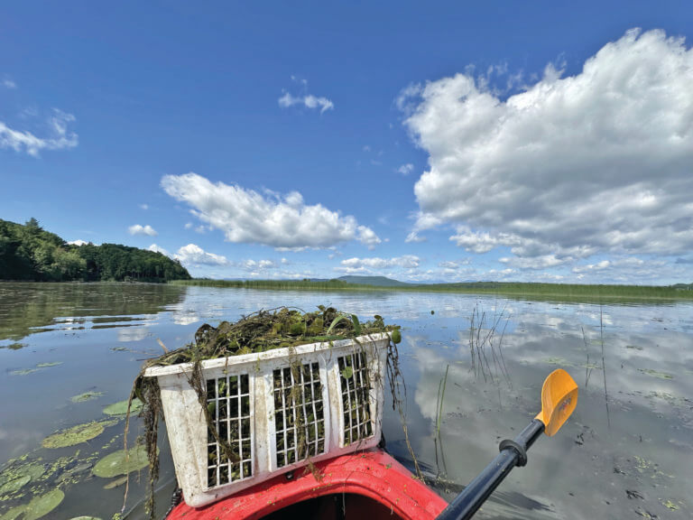 Wrapping up the water quality stewardship field season