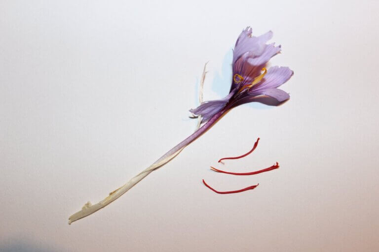 Saffron: World’s most expensive spice