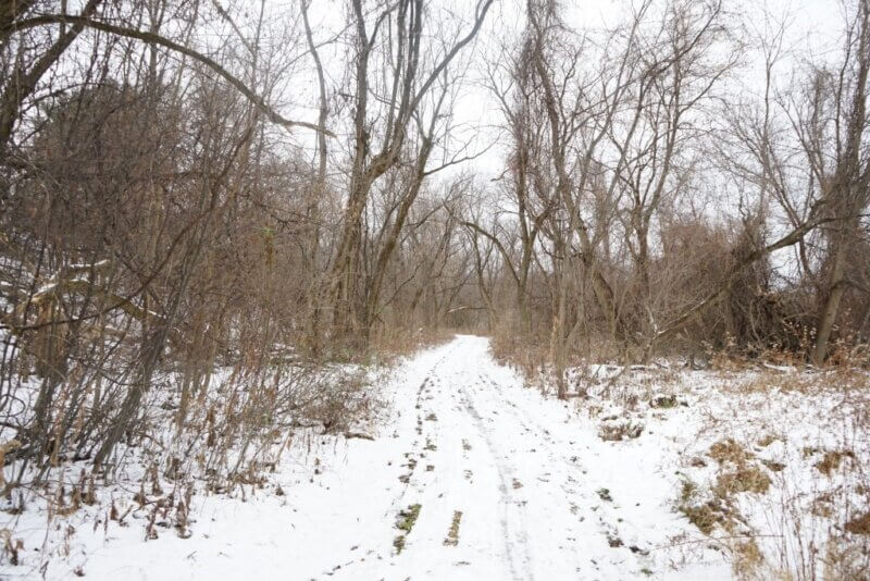Photos by Olivia Miller.
A pathway around the Intervale in Burlington on a winter day.
