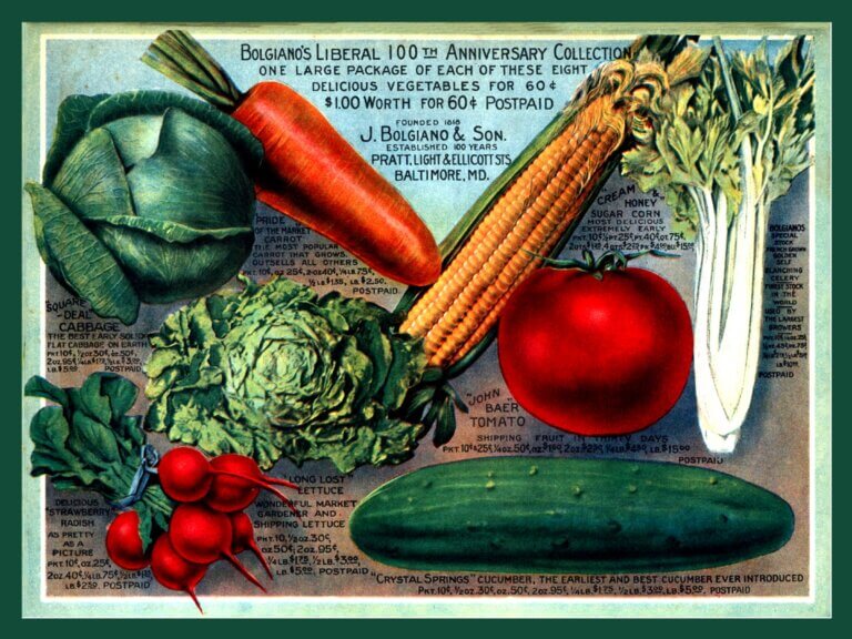 Seed and plant catalogs packed with info
