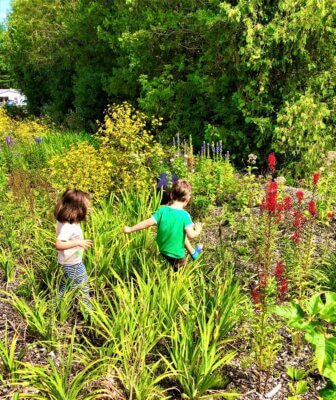 Photo by Myra Handy. Ellery Haulenbeek and Lior Webster explore a rain garden. Besides being good for the environment, rain gardens can teach even our youngest about protecting our water and our Earth.