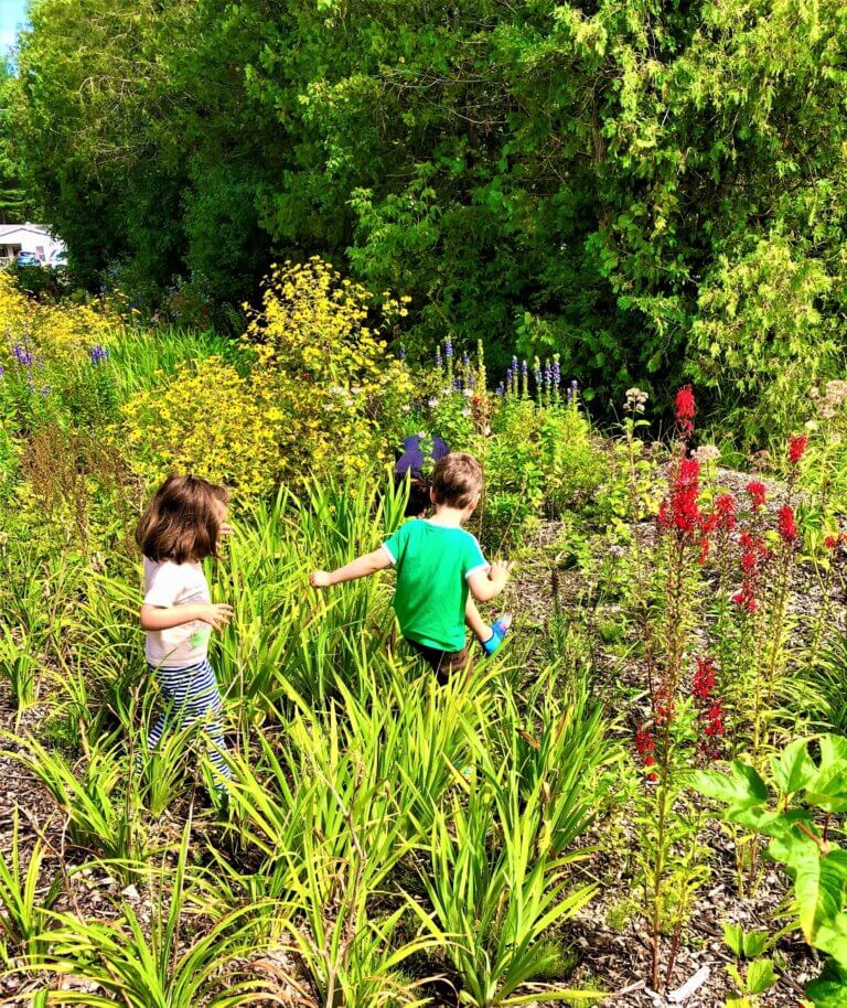 Charlotte to celebrate the Earth for whole month of April