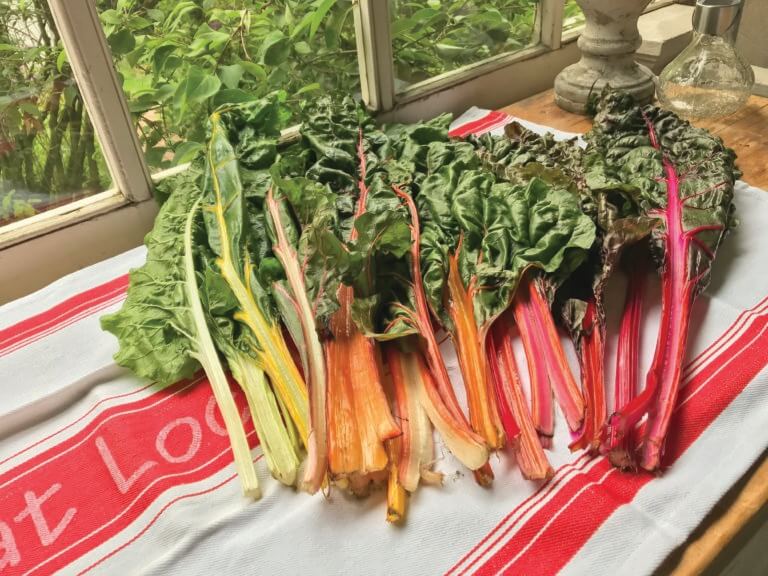 Let seasonal citrus liven our winter vegetables
