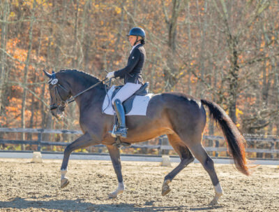 Photo by Michelle Morgenstern. Eliza Rutherford on one of her Hanoverians.
