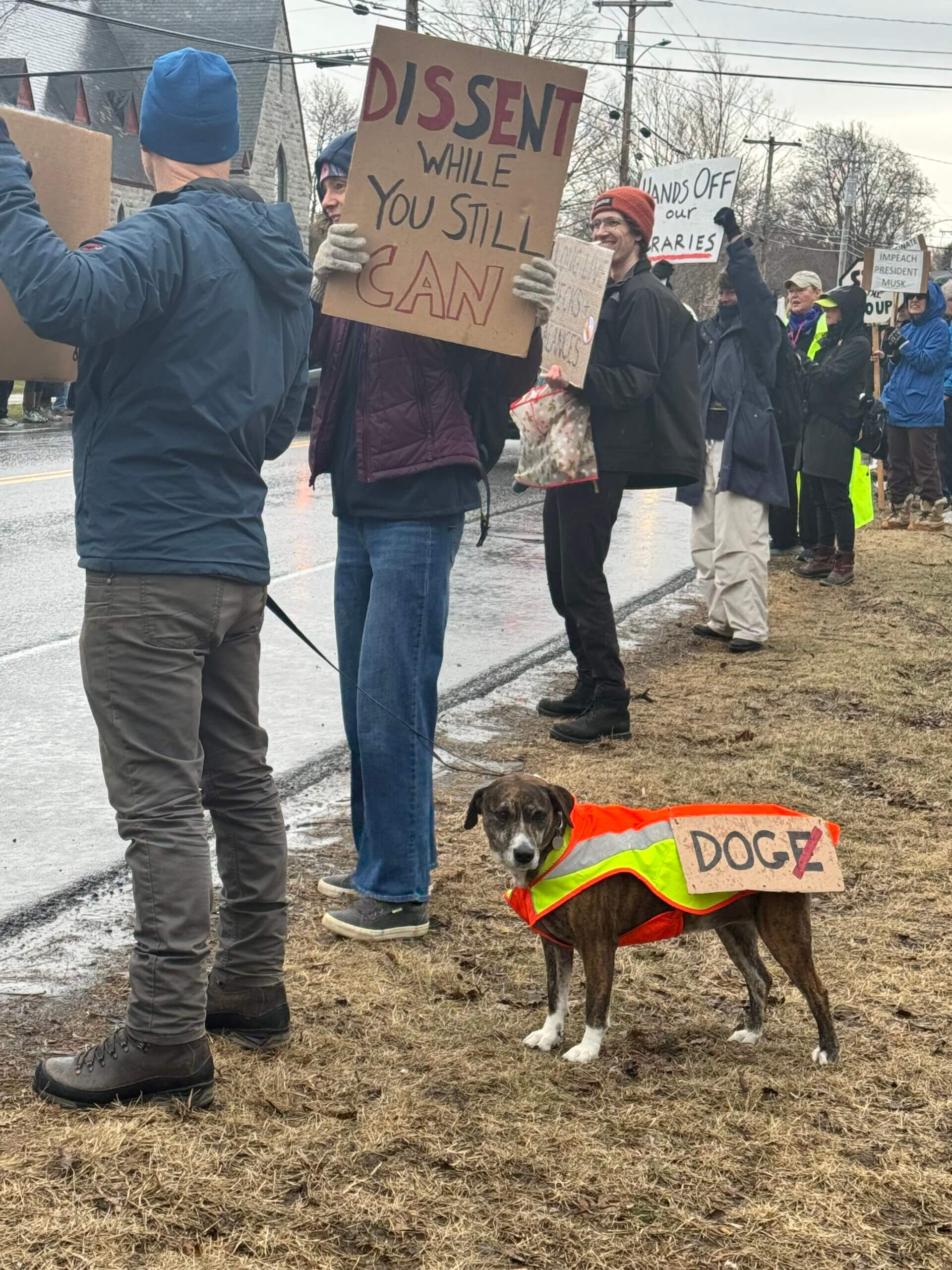 Photo by Scooter MacMillan.
A good number of canine commedians wore signs with the “E” in “DOGE” crossed out.