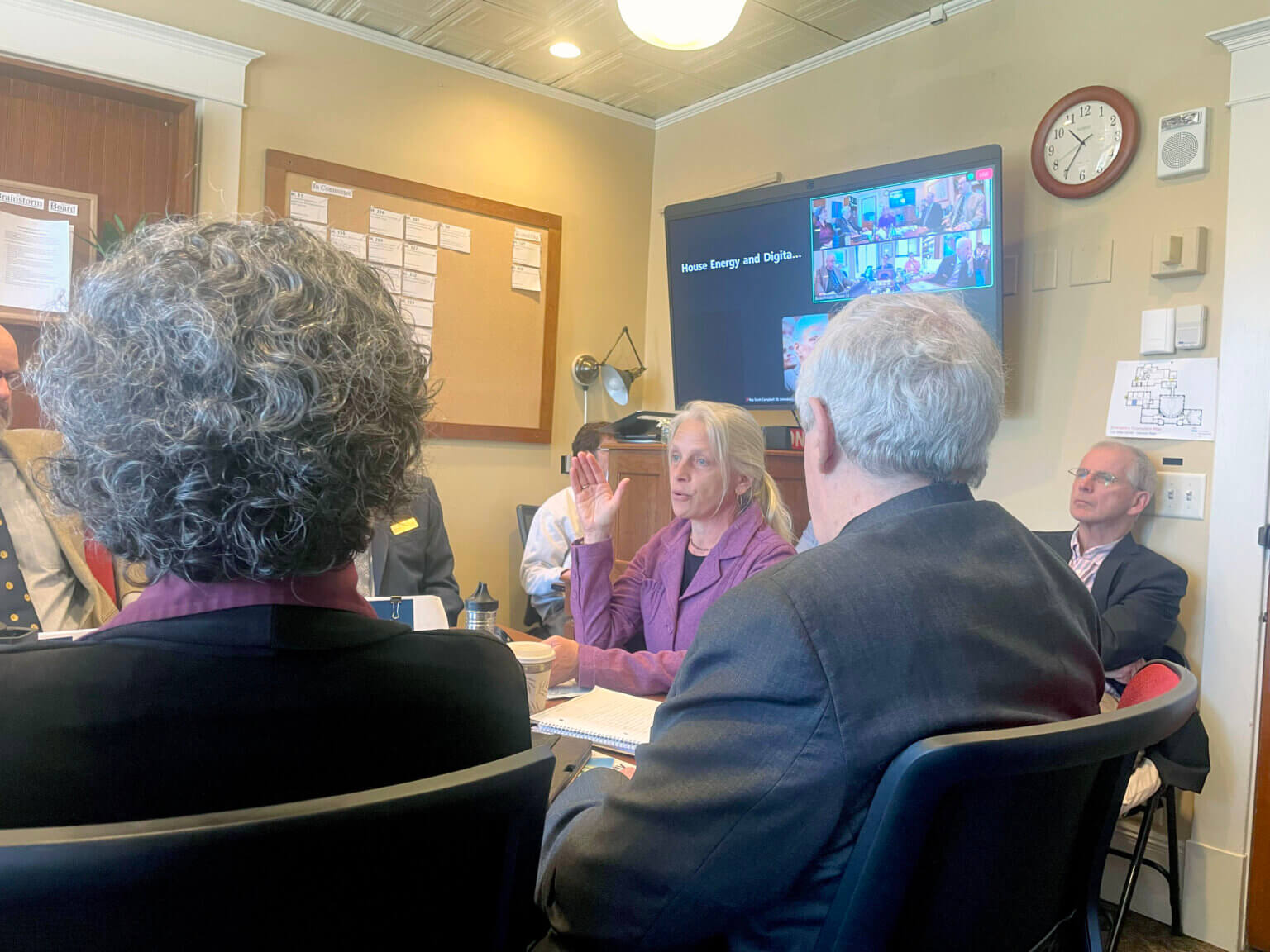Photo by Johanna Miller. Deidre Holmes testifies as part of Vermont Energy and Climate Action Network Lobby Day at the Statehouse.