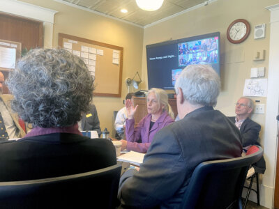Photo by Johanna Miller. Deidre Holmes testifies as part of Vermont Energy and Climate Action Network Lobby Day at the Statehouse.