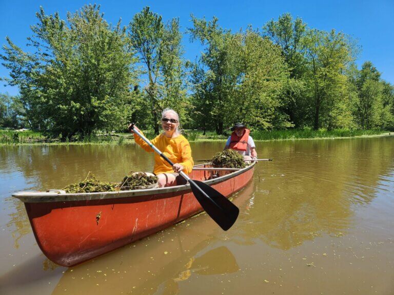 Sixth summer of program combating invasive species