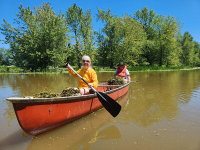 Photo by Sara Lovitz Lewis Creek. Association volunteers with a canoe full of frogbit they have removed from the LaPlatte River Natural Area in Shelburne in 2024.