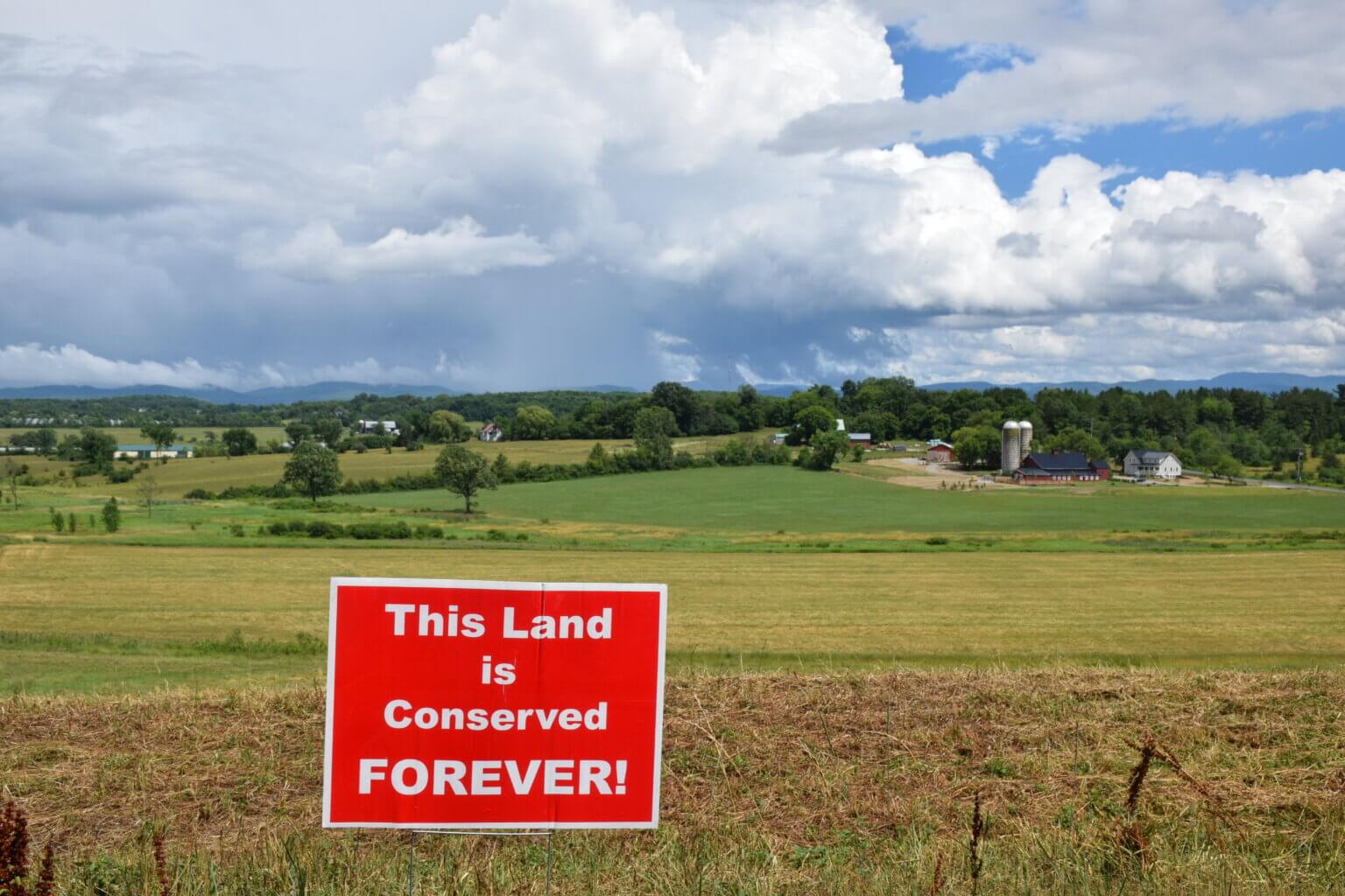 Photos by Steve Schubart. For 10 days at the beginning of July, red signs will mark conserved land in Charlotte.