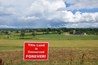 Photos by Steve Schubart. For 10 days at the beginning of July, red signs will mark conserved land in Charlotte.