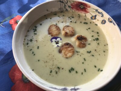 Potato, leek and fennel vichyssoise