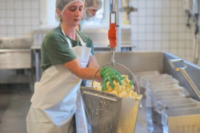 Photos by Sam Stout. A cheesemaker at Shelburne Farms about to pack cheese June 23.