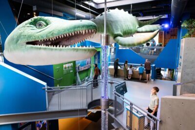 Courtesy photo. New permanent exhibit of Champ on display at ECHO, Leahy Center for Lake Champlain.