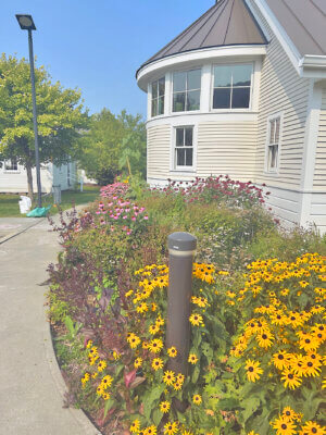 Photo by Margaret Woodruff. Thanks to Garden Circle volunteers, the library’s pollinator garden is flora bountiful.