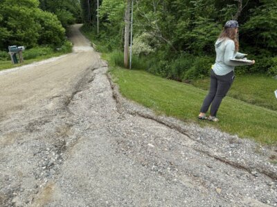Photo by Jessica Louisos. Road and gully erosion, which need to be addressed to reduce sediment heading directly into Lewis Creek.