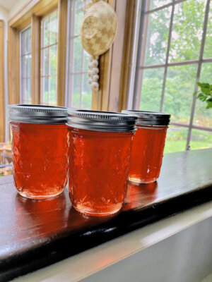 Dolgo crabapple jelly with cinnamon
