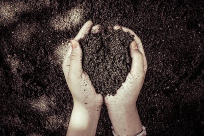 Photo by Rain Photography/Pexels. The best soil for plant growth contains about 50 percent solid material and 50 percent pore space.
