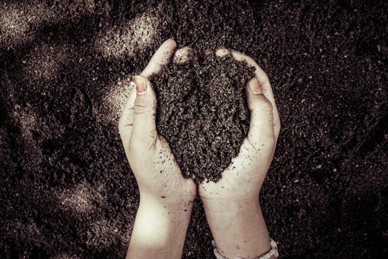 Soil properties of a successful garden