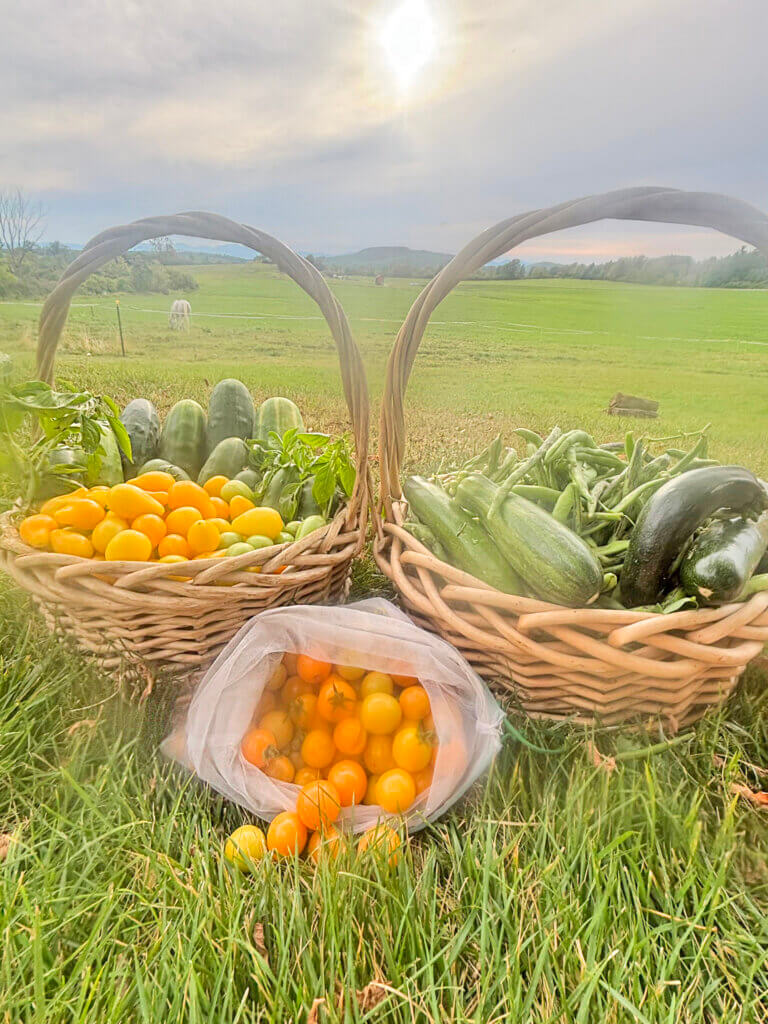 Worshipping harvest of needs, not wants, on Labor of Love Day